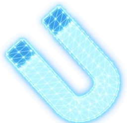 Magnet