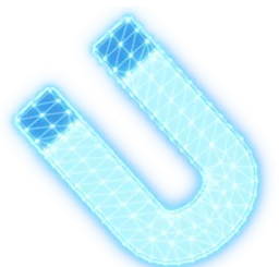 Magnet